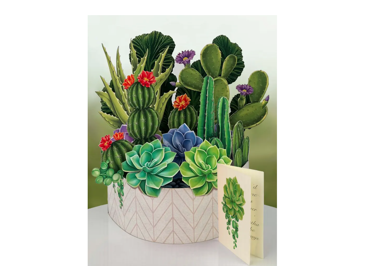 Cactus_Garden_Pop_Up_Greeting_Card